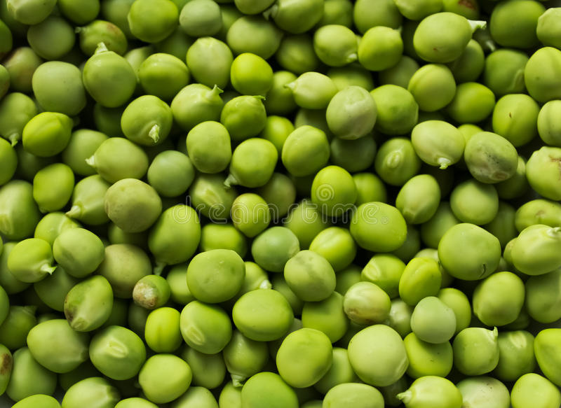 TRANSITIONAL ROLLED PEAS
